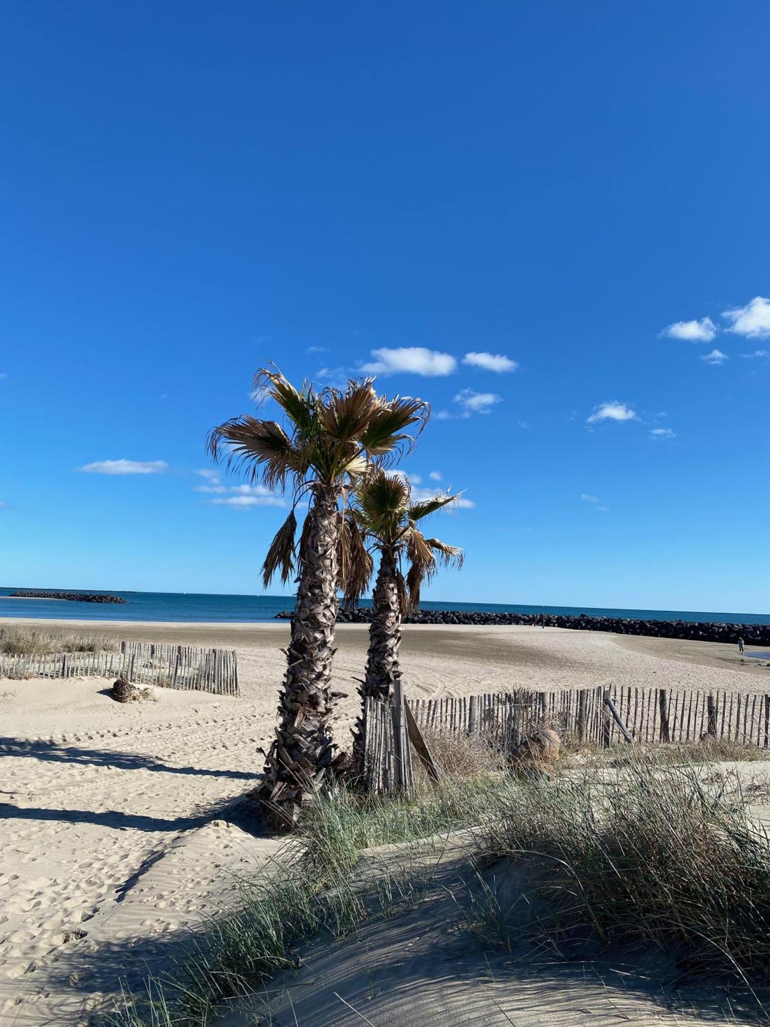 Appart - T3 - 6 Personnes - Golf Cap D'Agde Eksteriør bilde